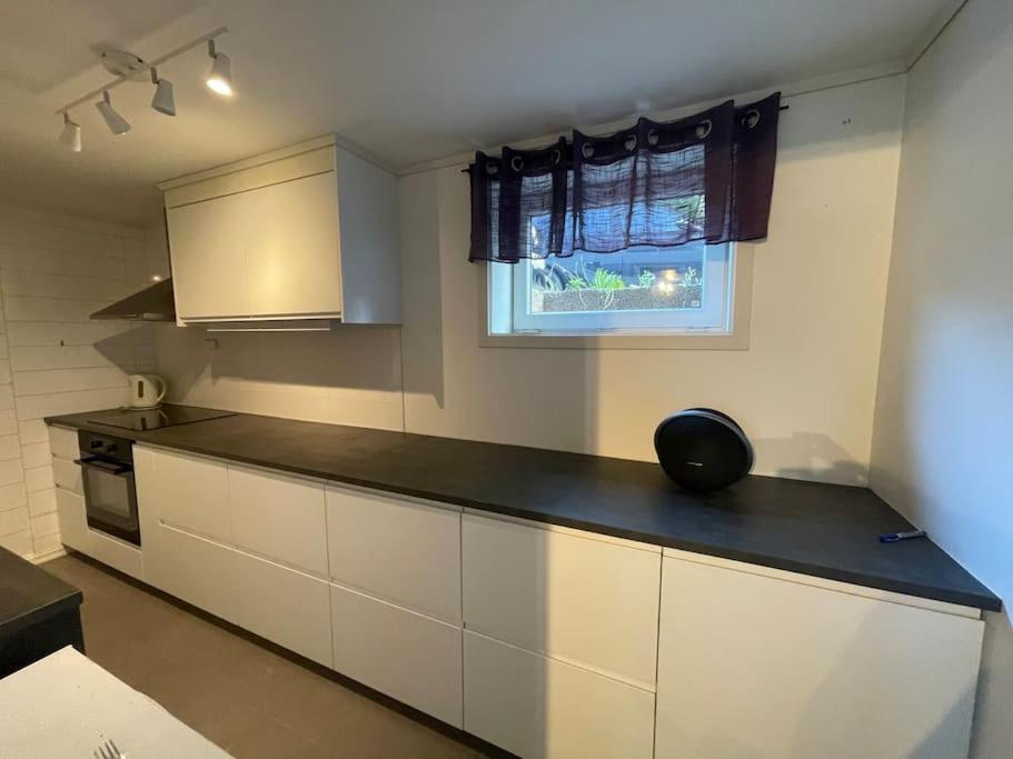 Larvik Appartment In The City Extérieur photo
